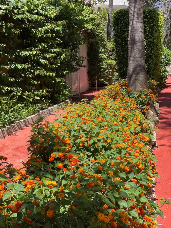 Marbella Real Golden Mile -Eaw Homes Eksteriør billede